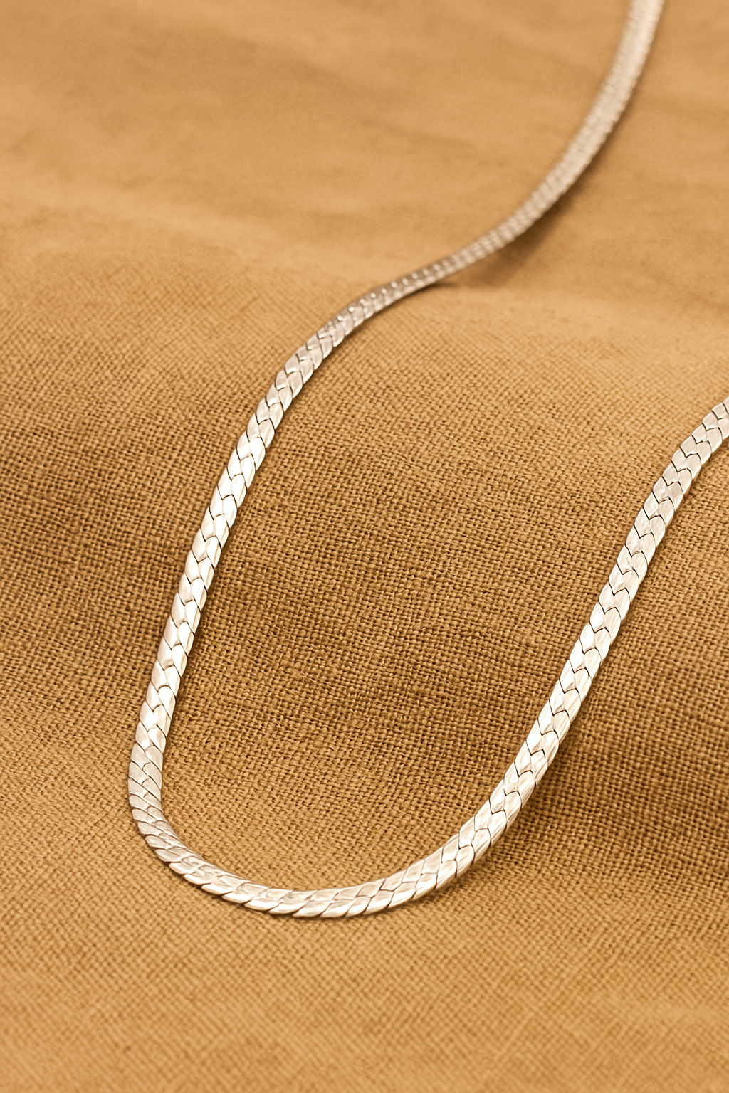 Oak Double Snake Silver Necklace