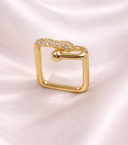 Nomi Ring